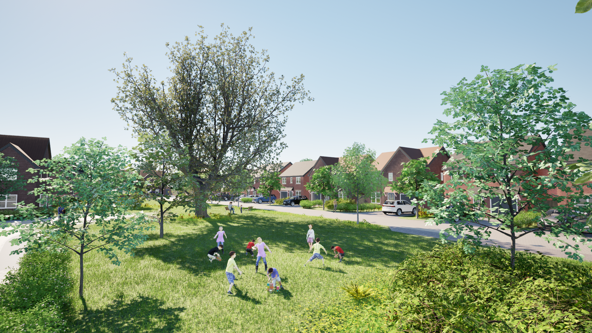 Site Image